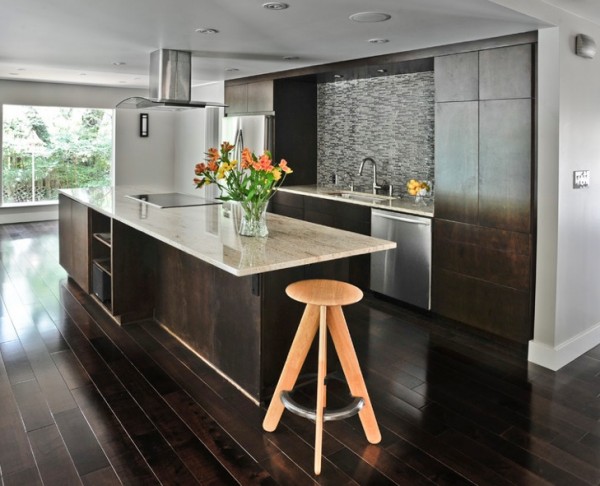 dark wood floors modern kitchen