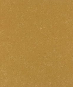 pq248 emperador yellow