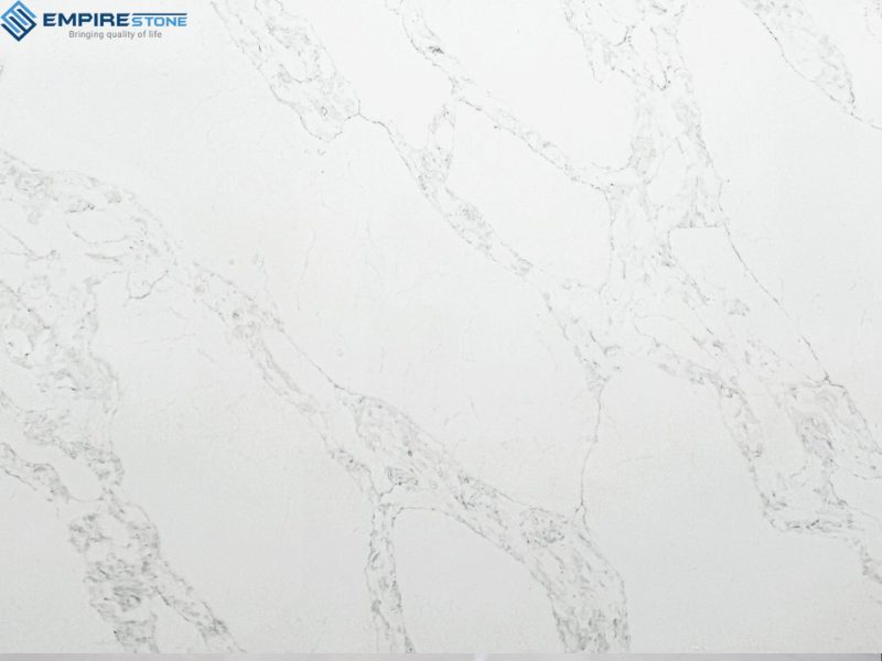 PQ919 GENESIS GREY chon nen tran mau logo xanh den hay toi mau chon trang 3