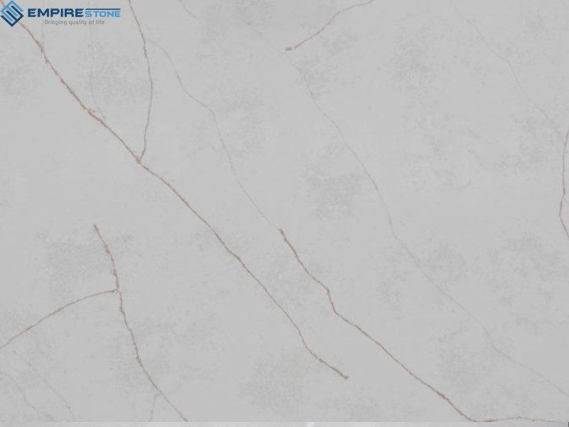 chon nen tran mau logo xanh den hay toi mau chon trang 4