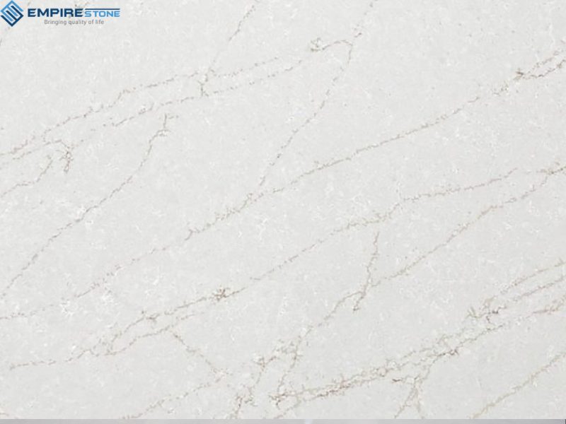 chon nen tran mau logo xanh den hay toi mau chon trang 5