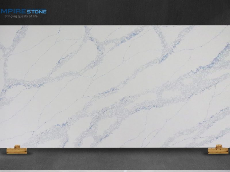 PQ129 PICASSO BLUE chon nen tran mau logo xanh den hay toi mau chon trang 6