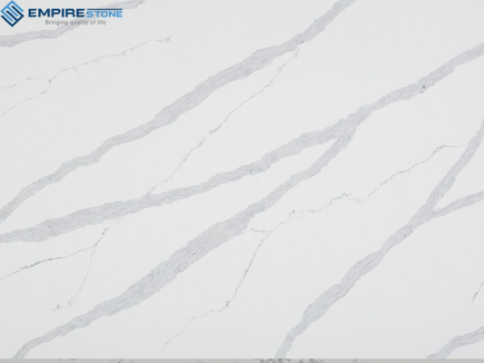 chon nen tran mau logo xanh den hay toi mau chon trang 27